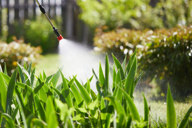 24/7 Emergency Ant Control experts in Oran, MO